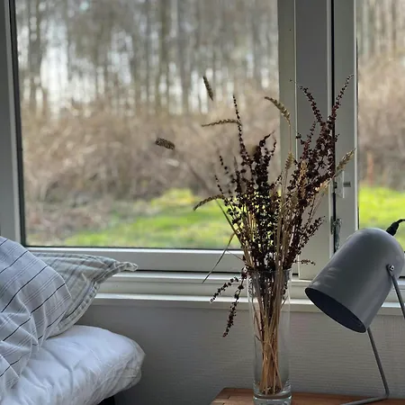 House With A View And Direct Access To Vakantiehuis Haderslev
